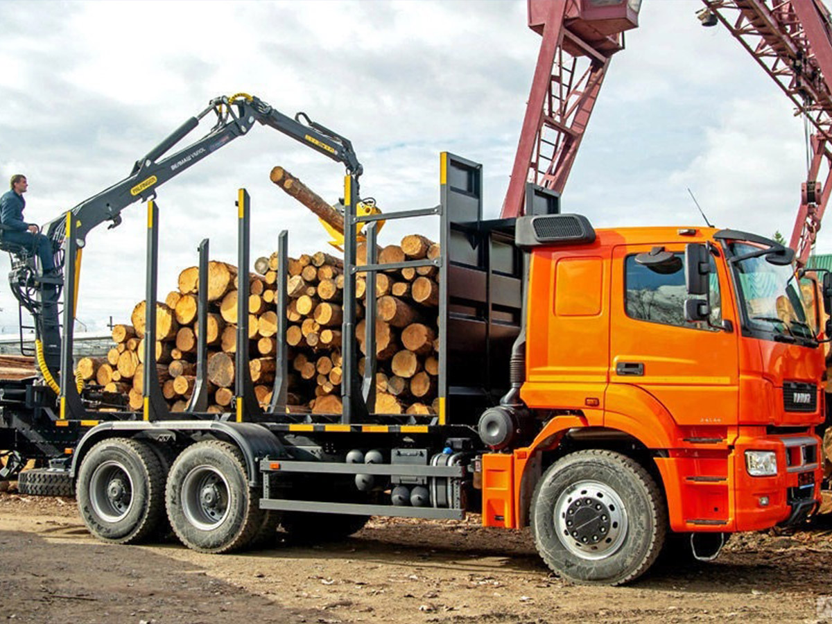 Сортиментовоз КАМАЗ 6580 с ГМУ VM10L74